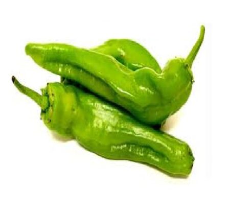 Bio Chilischoten Anaheim Chili grün frisch 1g (inkl. Samen) Zitrus-Aromatik und eine intensivere Süße