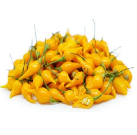 Bio Chilischoten Biquinho gelb Chili Früchte getrocknete 1g, (inkl. Samen) gelb sehr fruchtig-süßen Geschmack, süßen Äpfeln