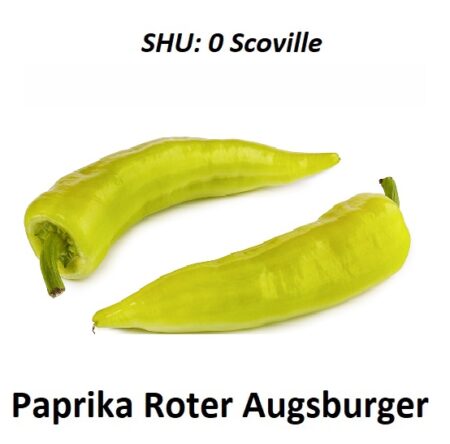 Bio Paprika Roter Augsburger grüne Früchte getrocknete 500g, (inkl. Samen) frisch, leicht herb, ohne Schärfe