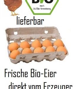 10 frische Bio-Eier braun