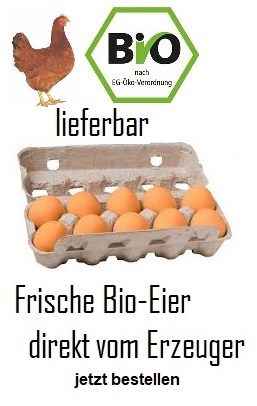 10 frische Bio-Eier braun