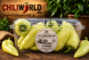 Premium Augsburger Spitzpaprika frisch, grün – handverlesen, ca. 250 g – Schärfegrad 0