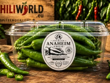 Anaheim Chili – frische Chilischoten, grün – 500 g – ChiliWorld
