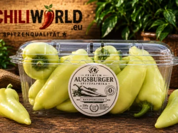 Premium Augsburger Spitzpaprika frisch, grün – handverlesen, ca. 250 g – Schärfegrad 0 – ChiliWorld